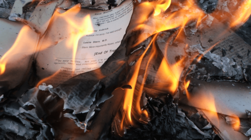 Book Burning Elect Conservatives
